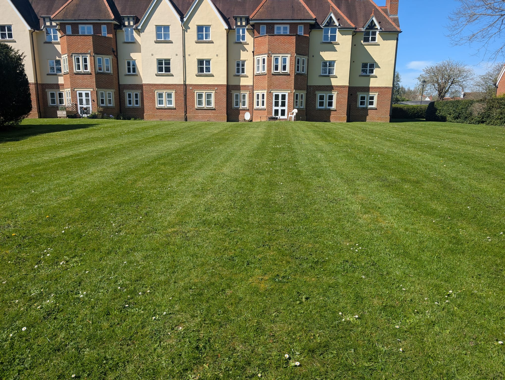 Routine Grass Cutting